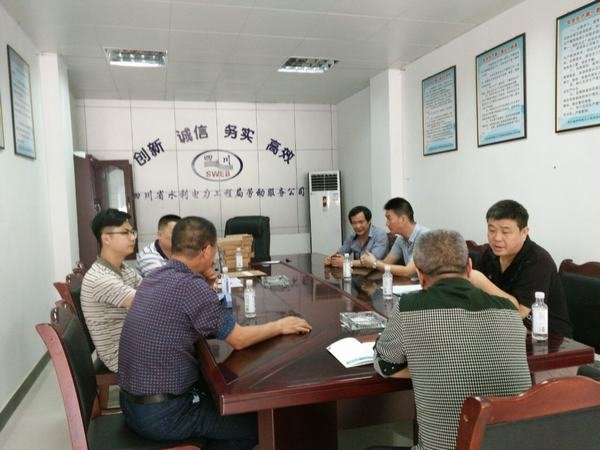 楊澤林、袁斌率隊(duì)檢查資陽片區(qū)安全工作