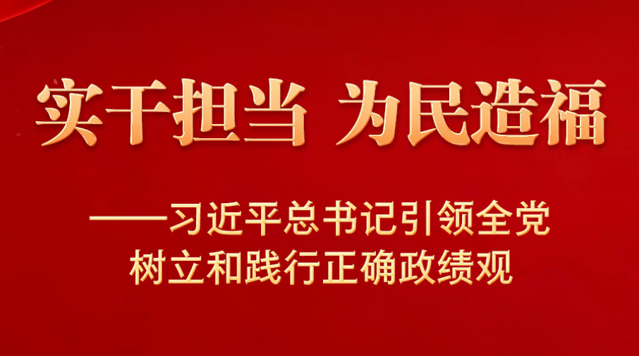 實干擔當 為民造?！暯娇倳浺I全黨樹立和踐行正確政績觀